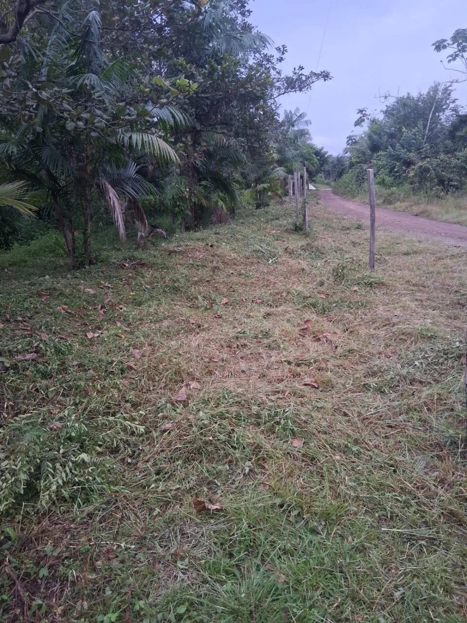 TERRENO À VENDA VILA GUARUMÃ ACARA -PA 