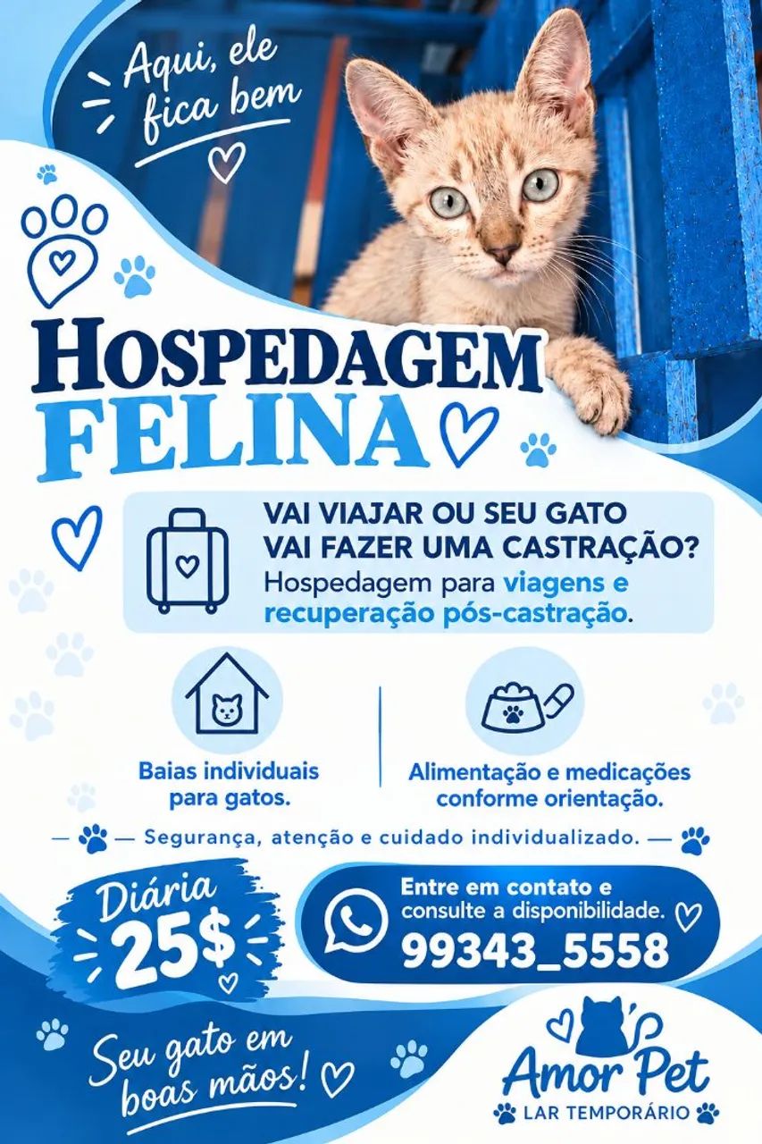 Hospedagem felina