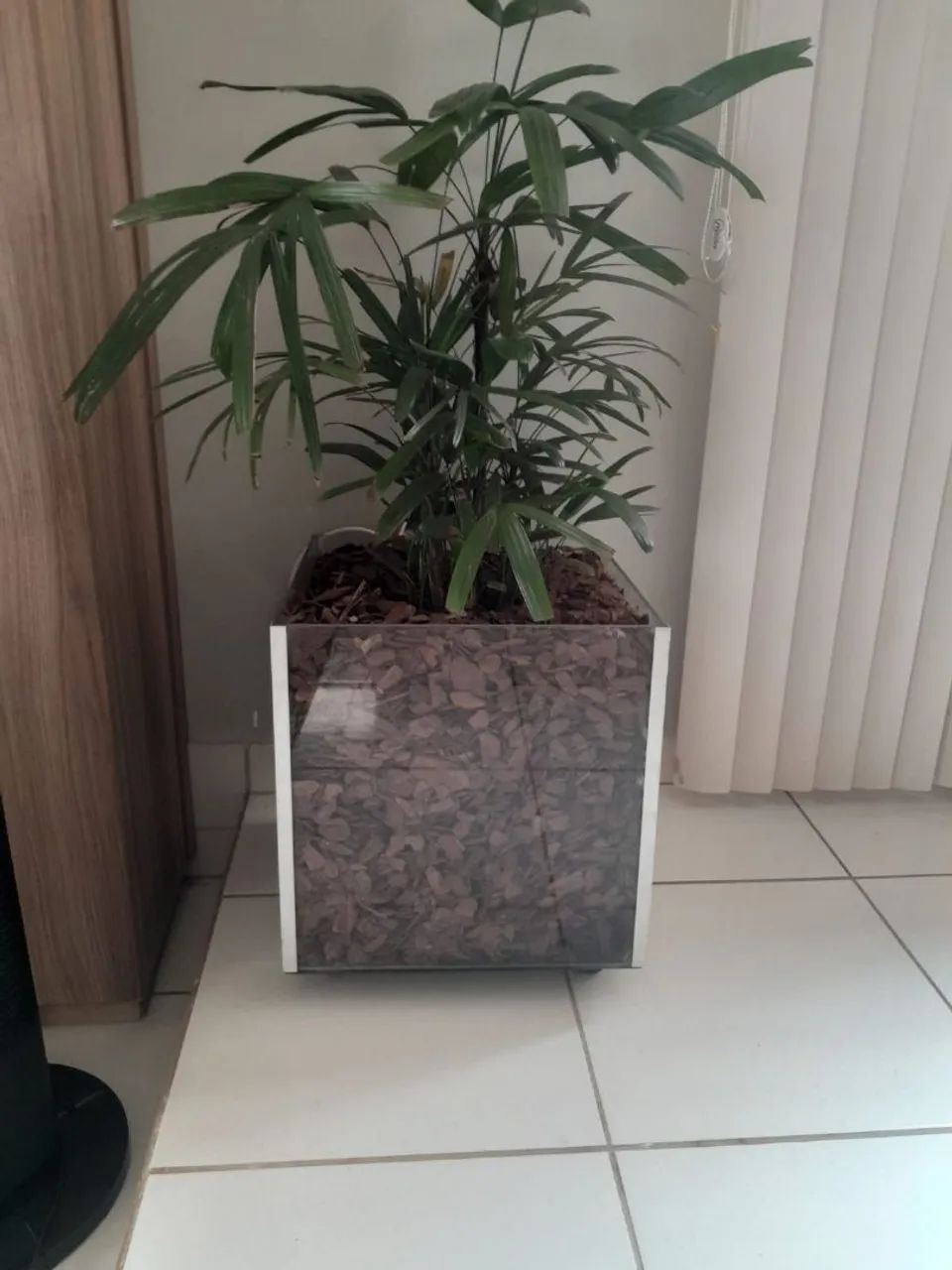Vaso