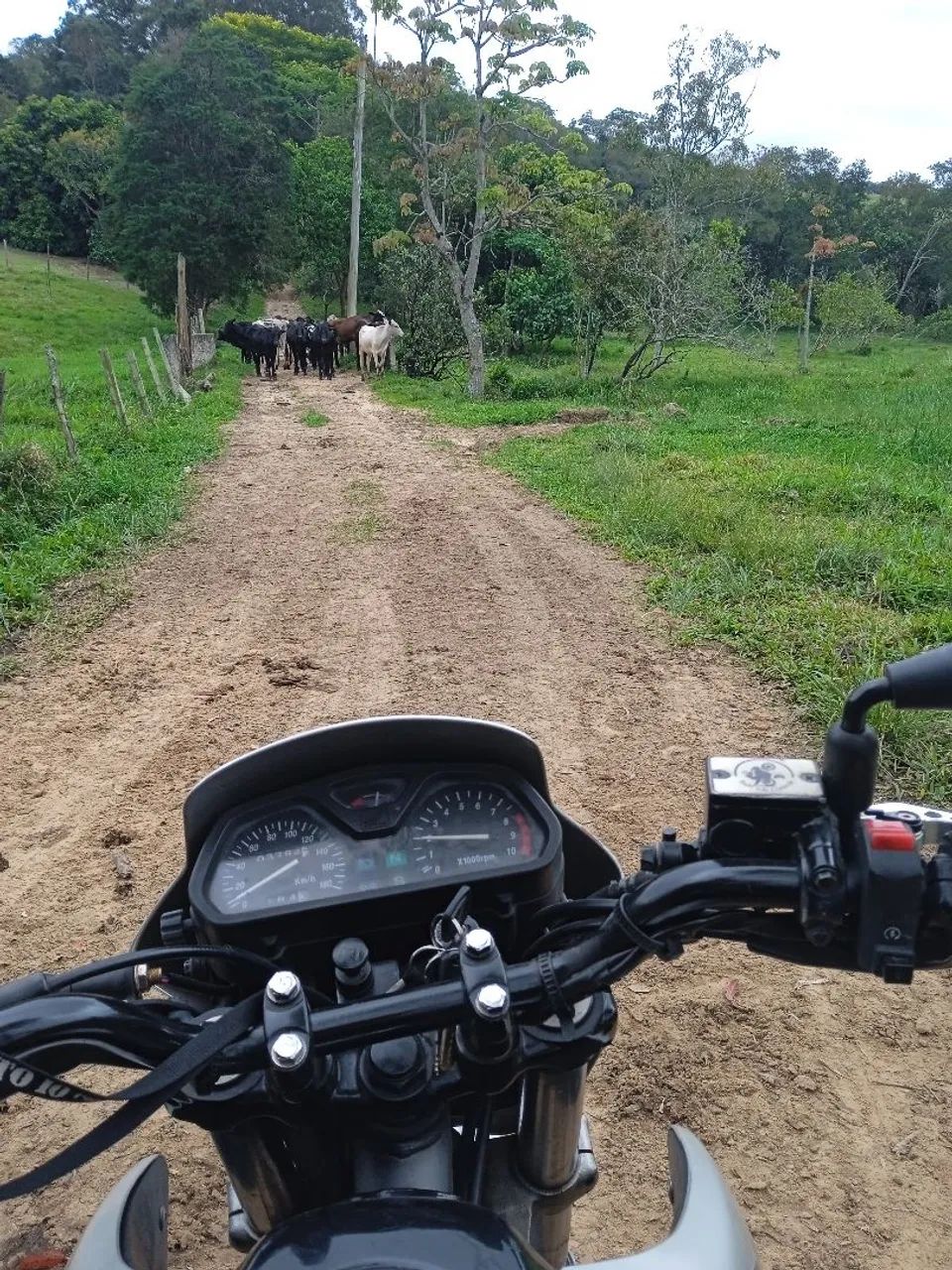 Nx Falcon 400  - Foto 3