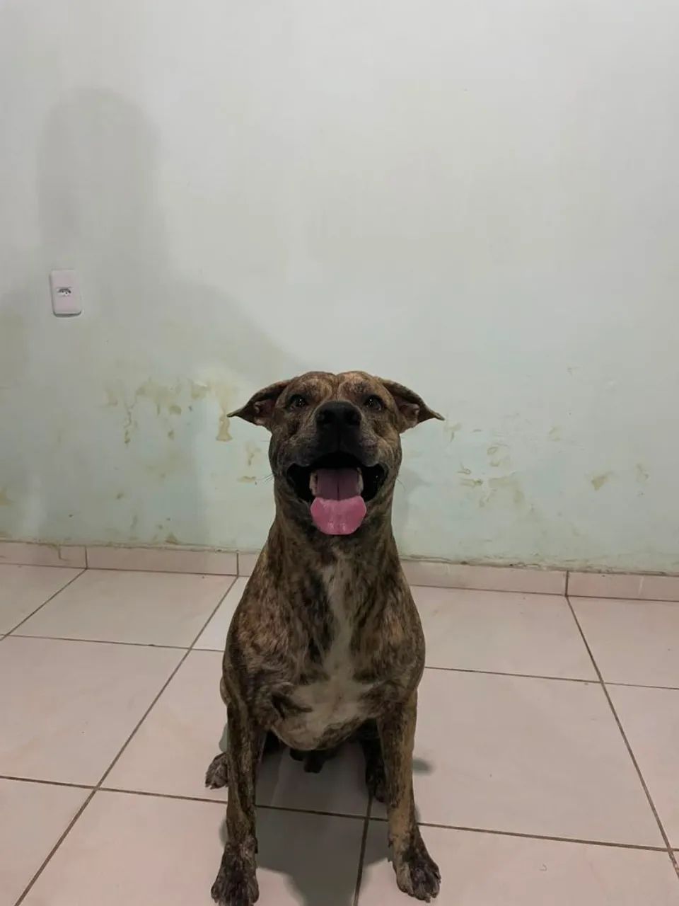 Doação 