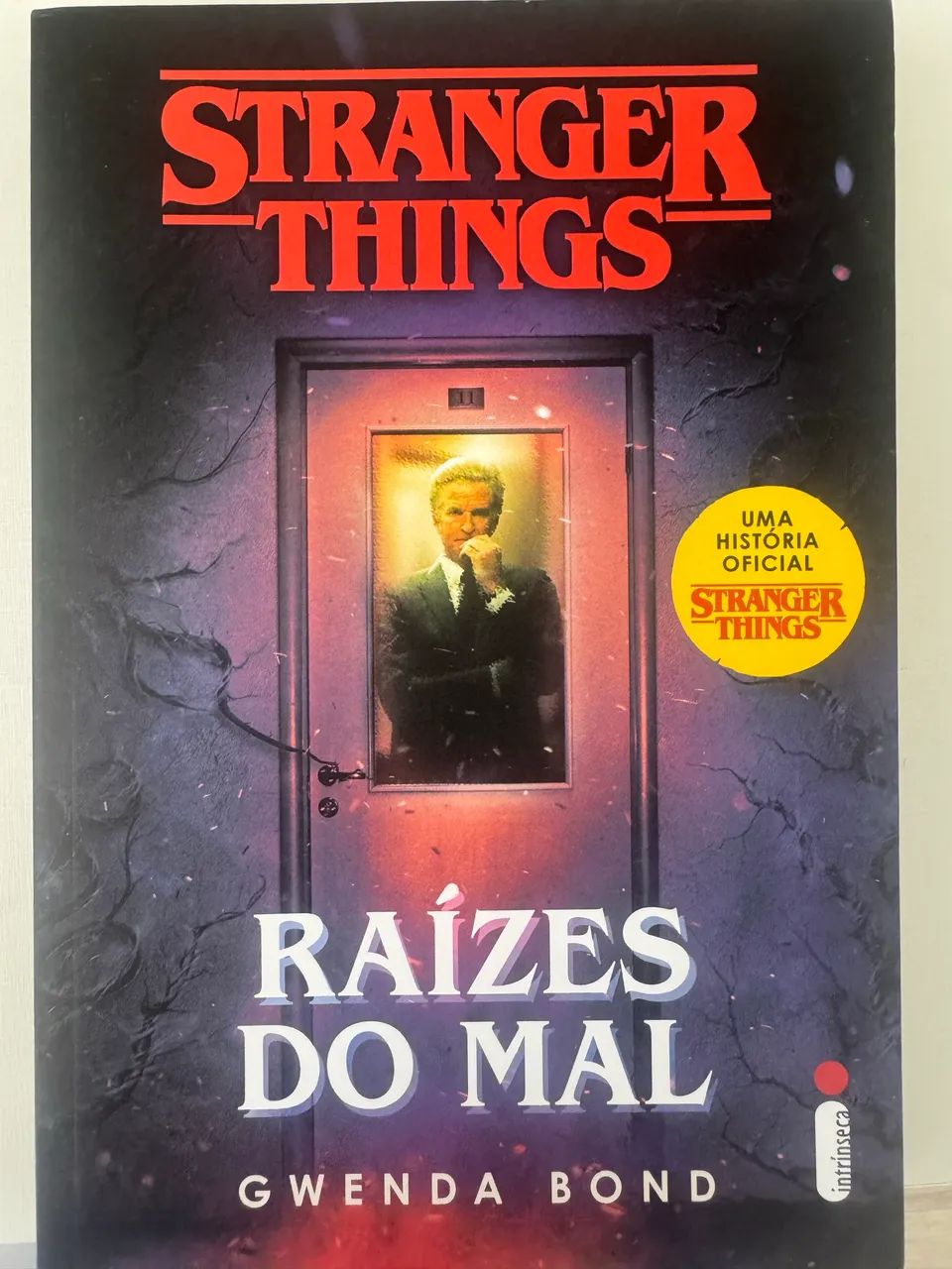 Stranger things: Raízes do mal: Volume 1
