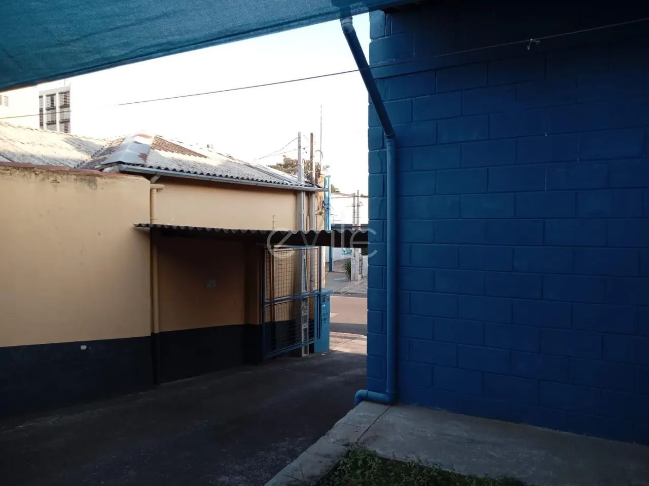 terreno - Bonfim - Campinas - Foto 3