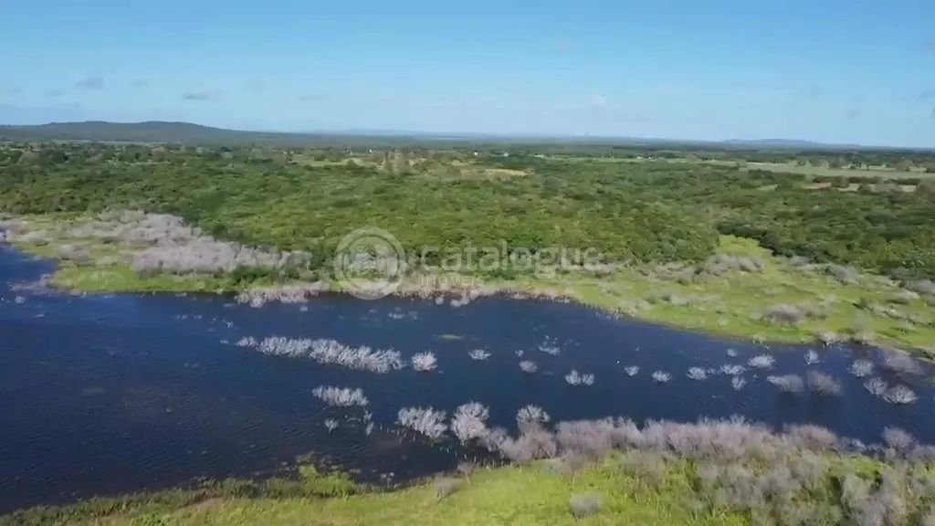 Fazenda em Poço Branco 239 ha - Foto 2