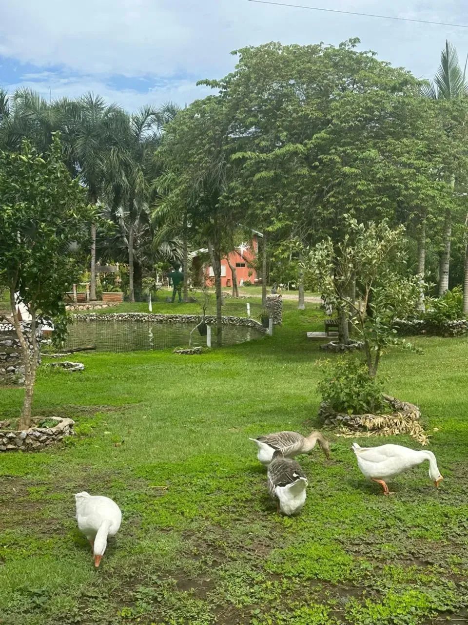 POUSADA COMPLETA A VENDA EM BONITO MS - Foto 5
