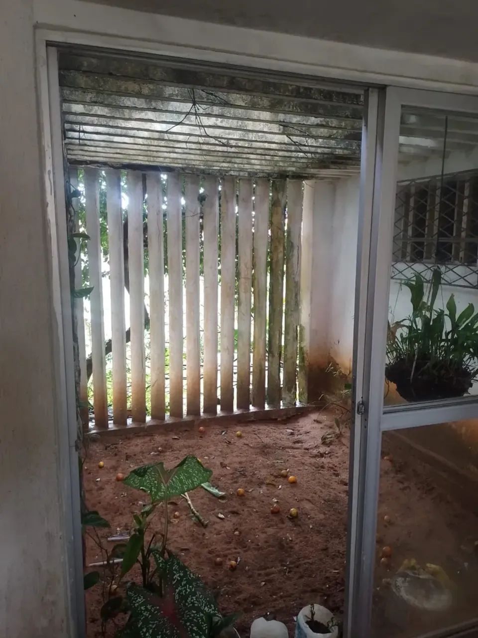 OPORTUNIDADE DE SÃO JOÃO
