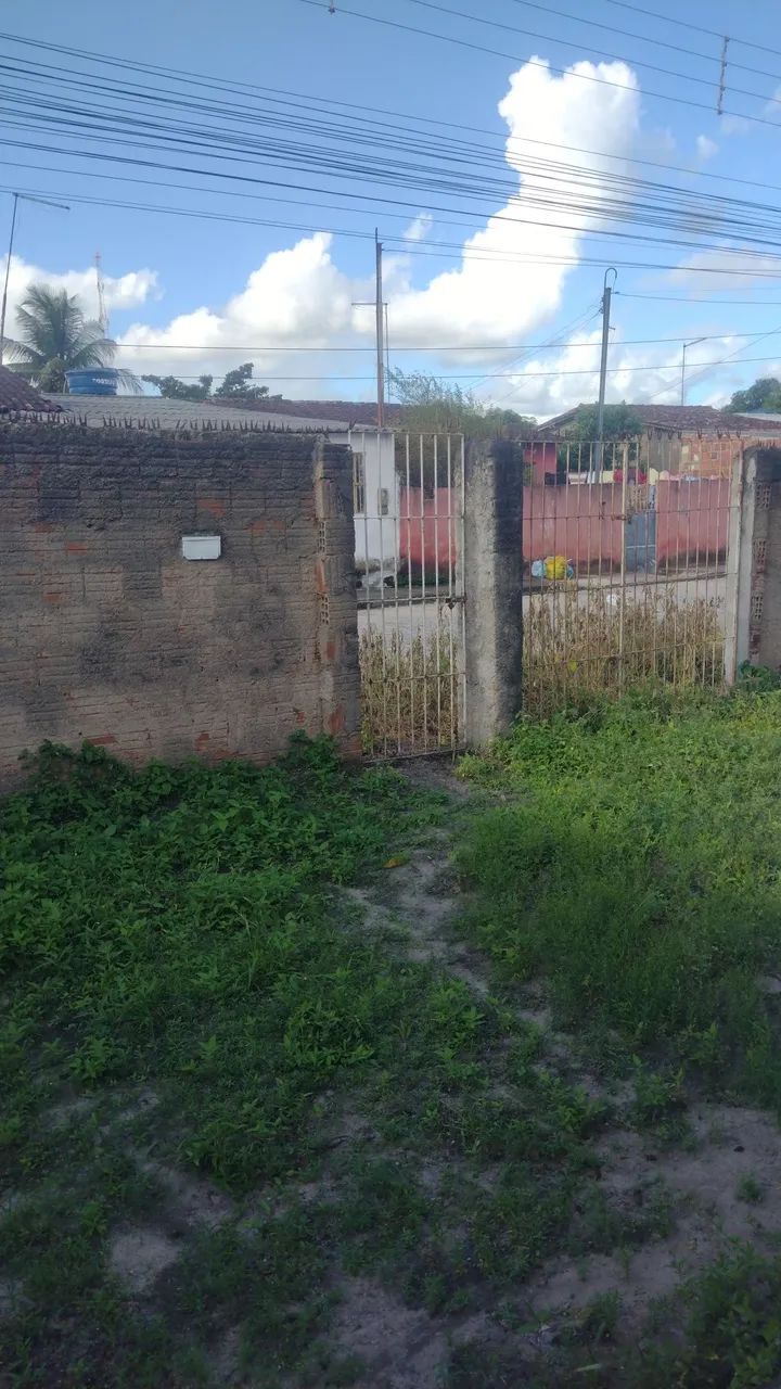 Venda - Foto 3