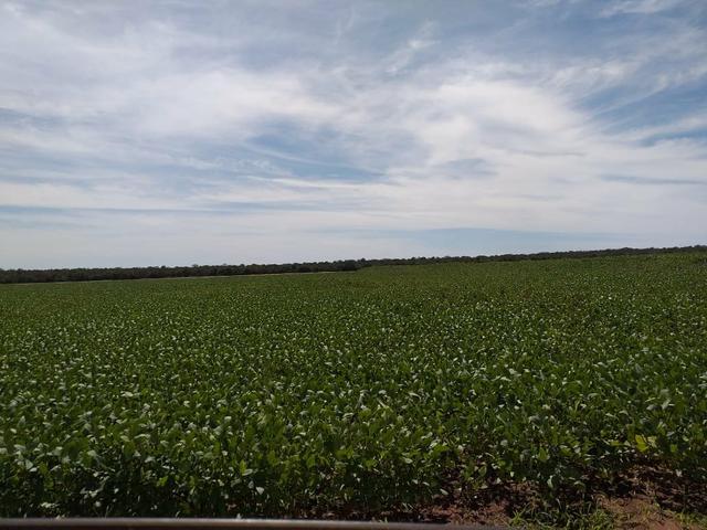 Fazenda para Soja com 6.200 hectares