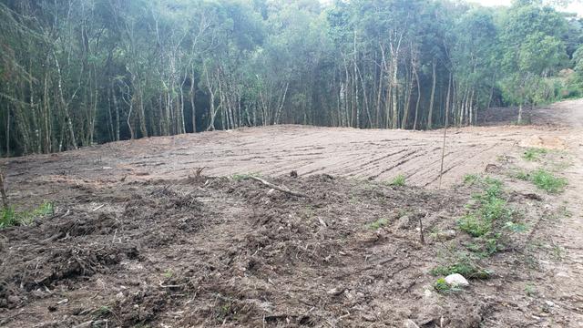 Chácara Agudos do Sul - 50 mts da Br c/ Tanque e rio - Foto 5