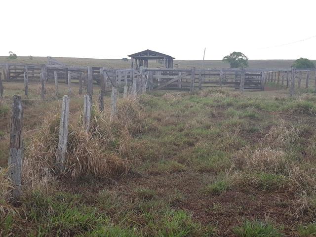 Fazenda 485 há Dupla Aptidão - Foto 5