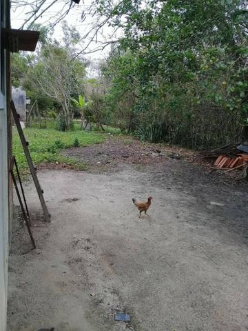 Sítio no bairro Chavão/Santo Antonio, Cabo Frio-RJ. 6.000m² - Foto 18