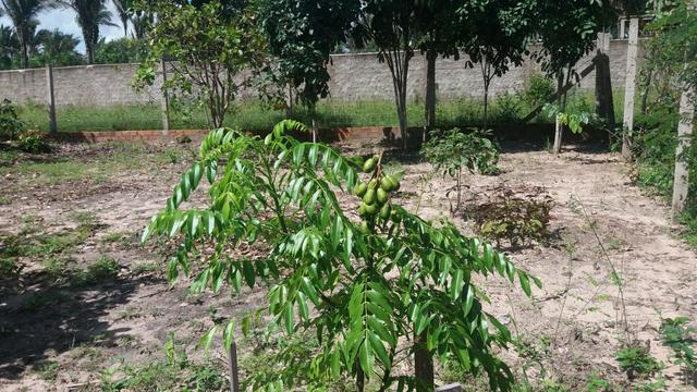 Terreno excelente - Foto 2