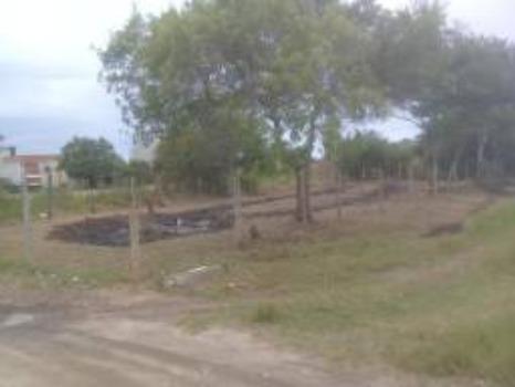 Terreno - Foto 2