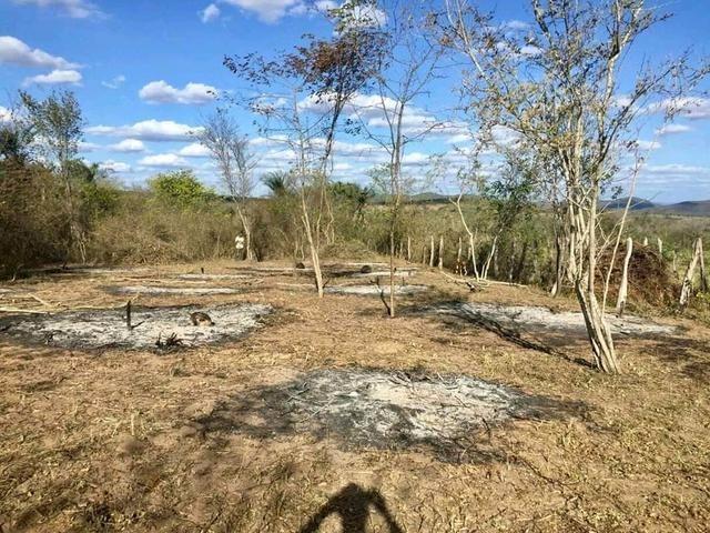 Lotes Para Chácara Na Estiva