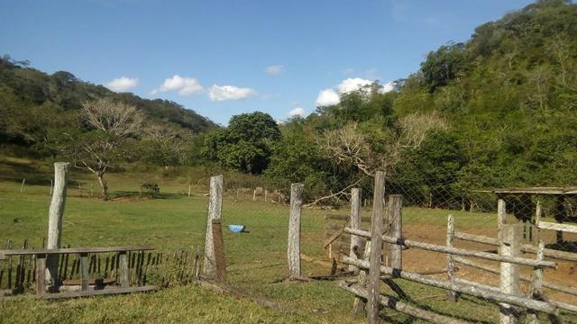 Fazenda e Cotas para Reposição Florestal - Foto 11