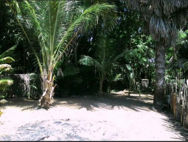 Vendo uma casa em barreirinhas! - Foto 6