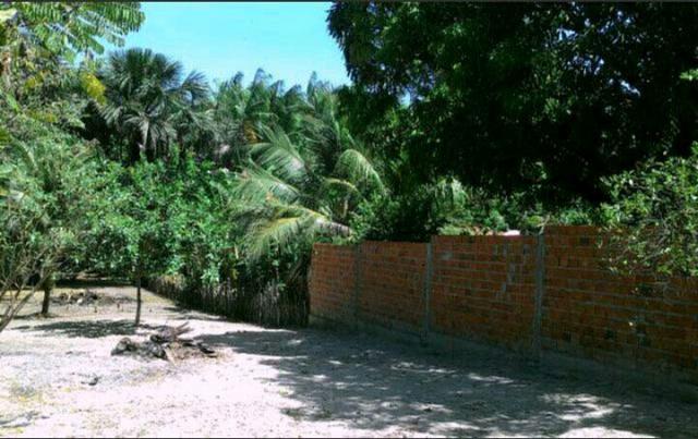 Vendo uma casa em barreirinhas! - Foto 8