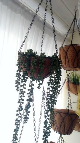 Decoração