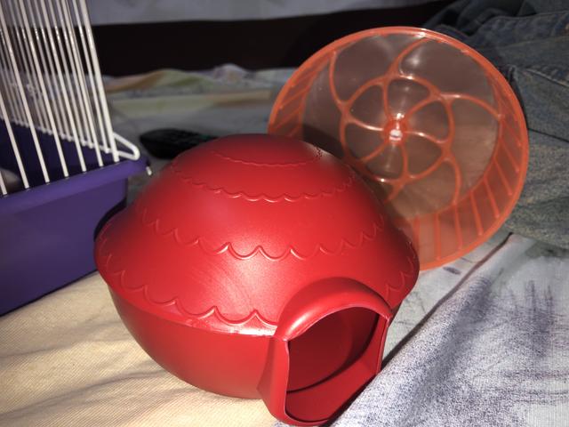 Brinquedo para hamster