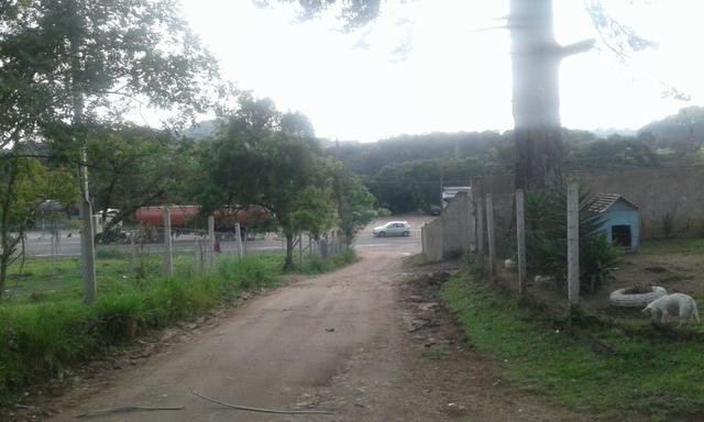 Vende-se chácara em Leão - Agudos do Sul (cód. A349 I) - Foto 6