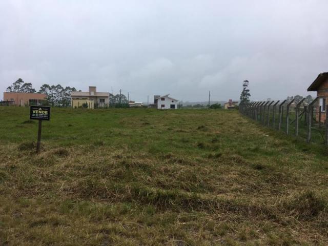 Terreno para venda em imbituba, alto arroio - Foto 3