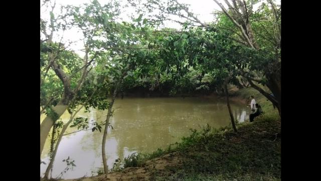 Chácaras em Luziânia à partir de 1.562 metros quadrados - Foto 11