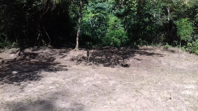 Chácara à venda com 2 dormitórios em Chácara em porto rico, Porto rico cod:22 - Foto 17