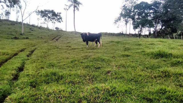 Chácara ótima localização baixou para 200.000,00 - Foto 2