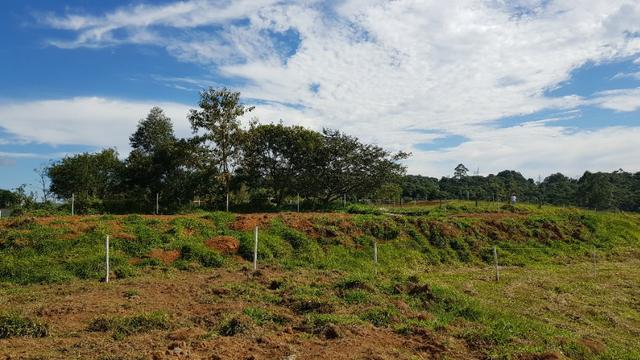 97-Terreno próximo a são Paulo - Foto 5