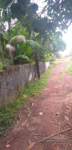 Sítio à venda em Centro, Benevides cod:7197 - Foto 4