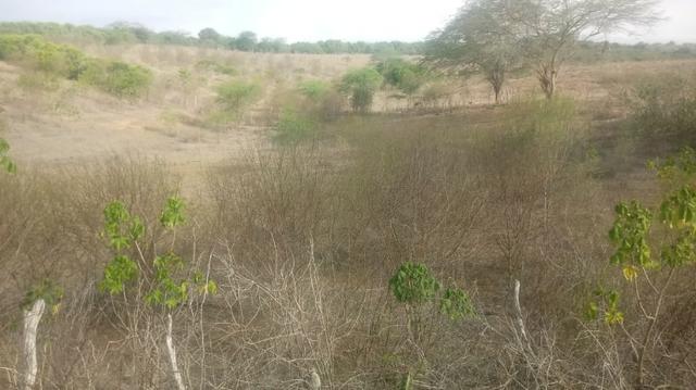 Ótima propriedade de 120 hectares, 70% plana, em Gravatá-PE. Por apenas R$ 780 mil! - Foto 8