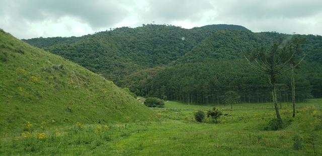 Terreno em Bom Retiro/área rural em Bom Retiro - Foto 5