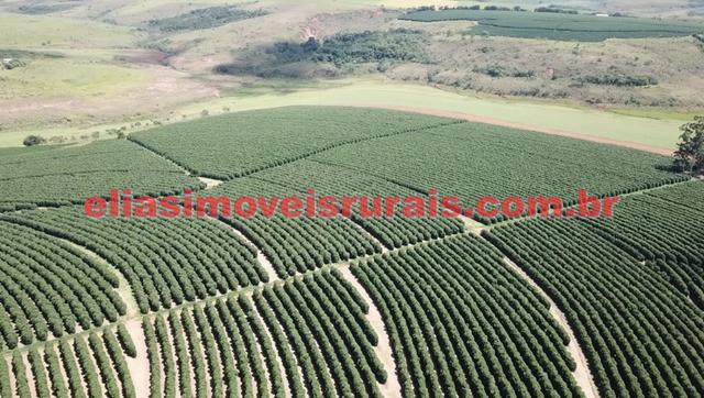 Fazenda de café - 110.000 pés - Patrocínio - MG - Foto 13