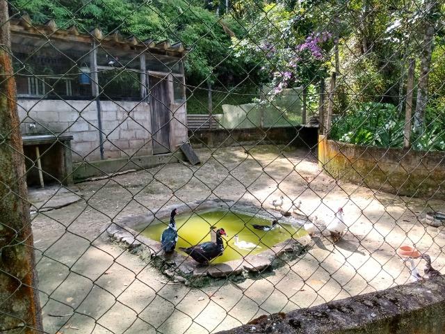 Sitio com 20.000 m²,bela casa,imenso lago e espaço para criações - Foto 15