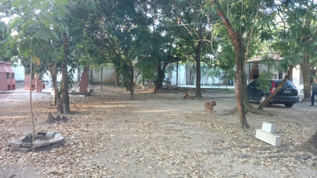Sítio na JK - Foto 3