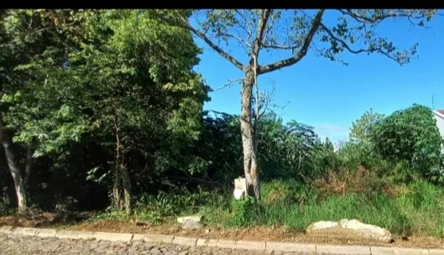 Lote em  Rua Canadá - Centenário - Sapiranga/RS - Foto 5