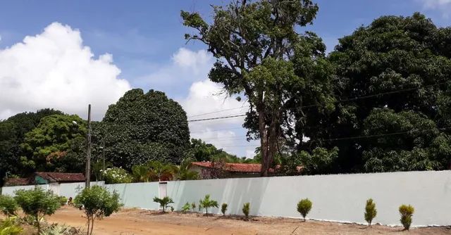 Vendo Área com 3.676m² - Mata Redonda