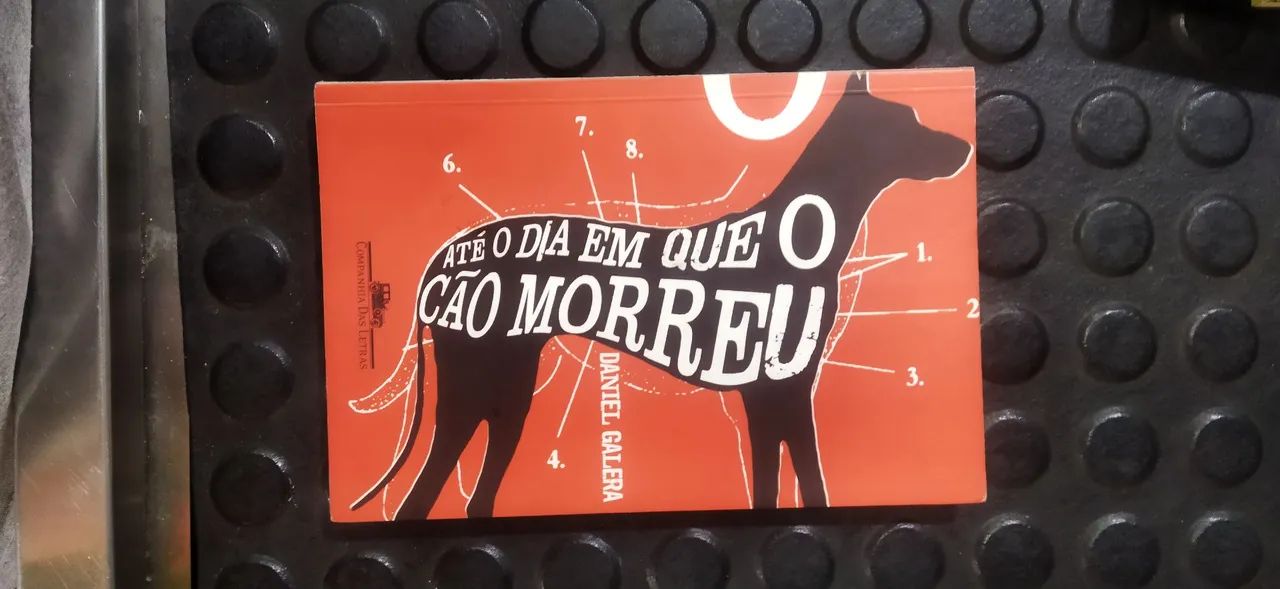 Livro "Até o dia em que o cão morreu" - Daniel Galera