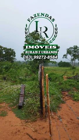 Fazenda 180 Alqueires Dupla Aptidão Tocantins - Foto 3