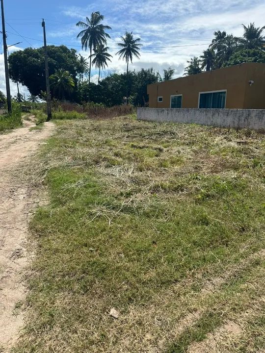Oferta | Terreno 10x25 - 250m² em Brarra de Sirinhaém | Praia do Gaiamum