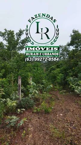 Fazenda 180 Alqueires Dupla Aptidão Tocantins - Foto 4