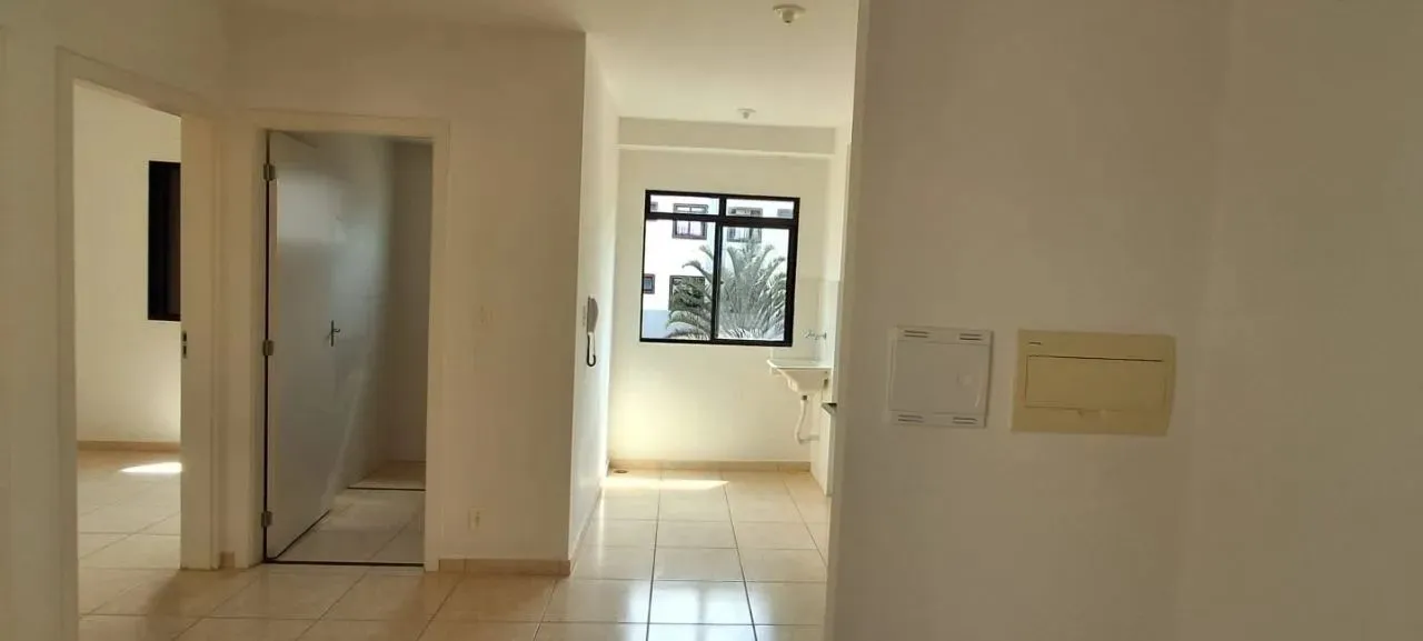 Ribeirão Preto - Apartamento Padrão - Recanto Das Palmeiras