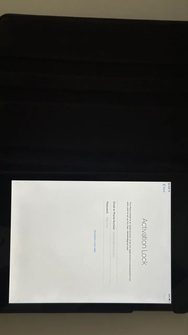 iPad Mini Locked!64312212159873122