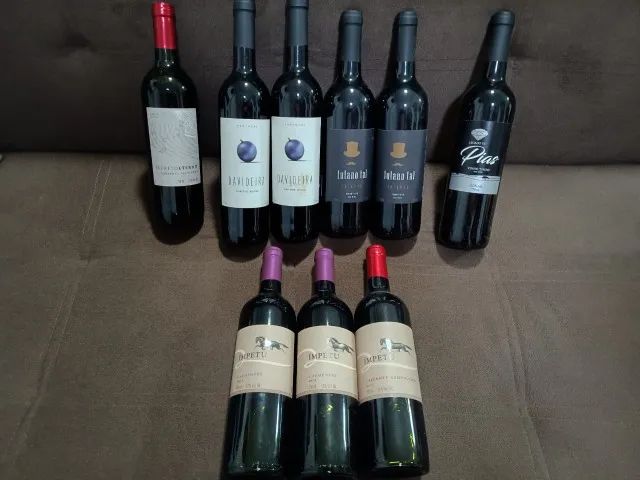 Nove (9) Garrafas - Vinho Tinto - Comprados na Wine - Bebidas 