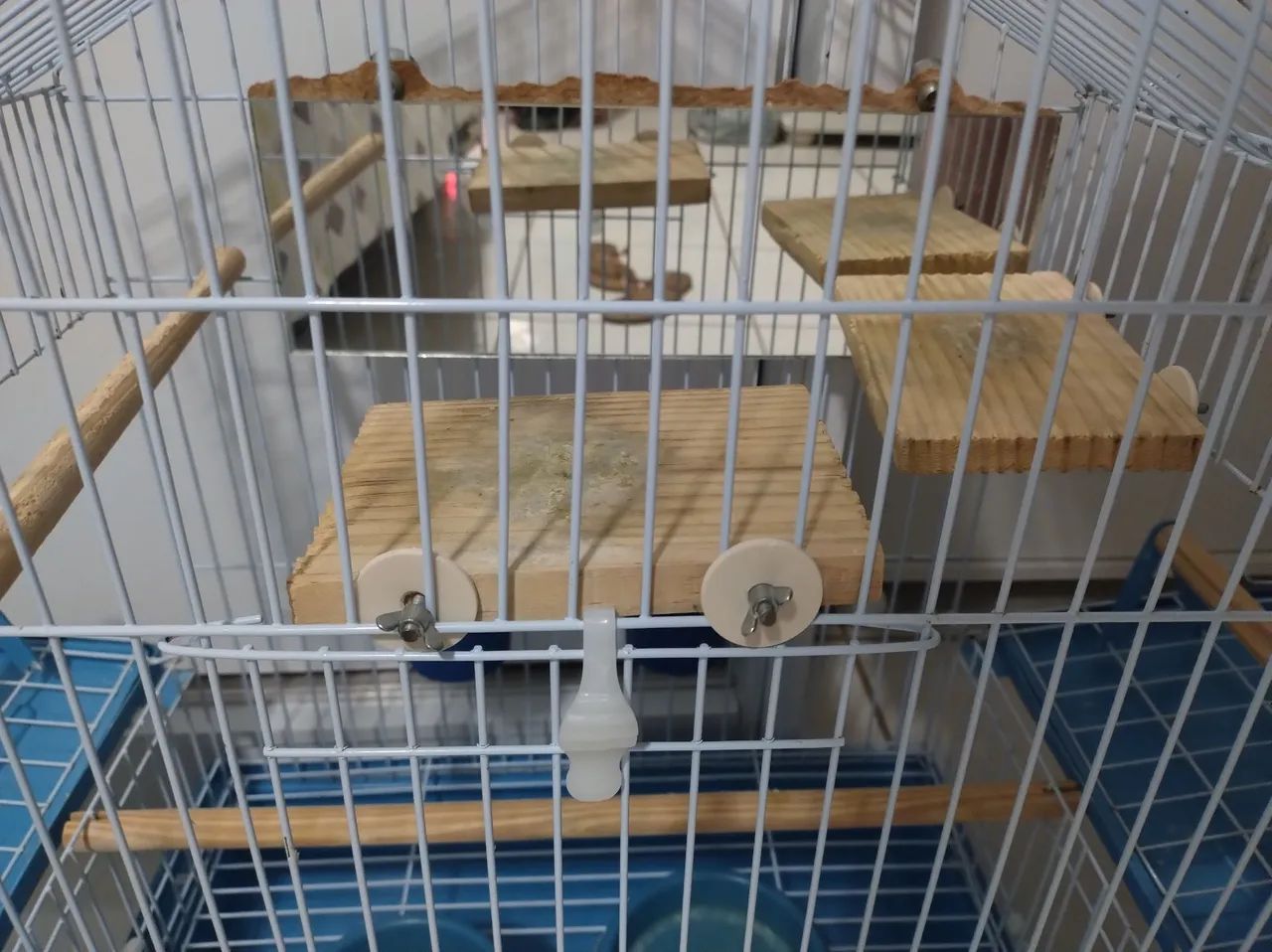 Gaiola para calopsita 64309467517057123