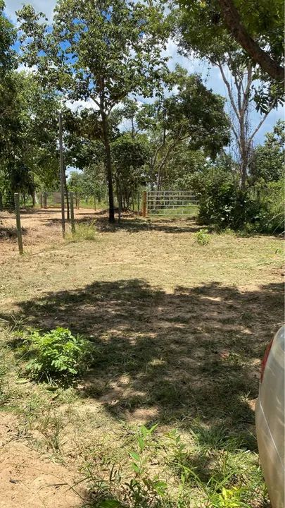 Vendo rancho 900 metros cercado fora o APP - Foto 6