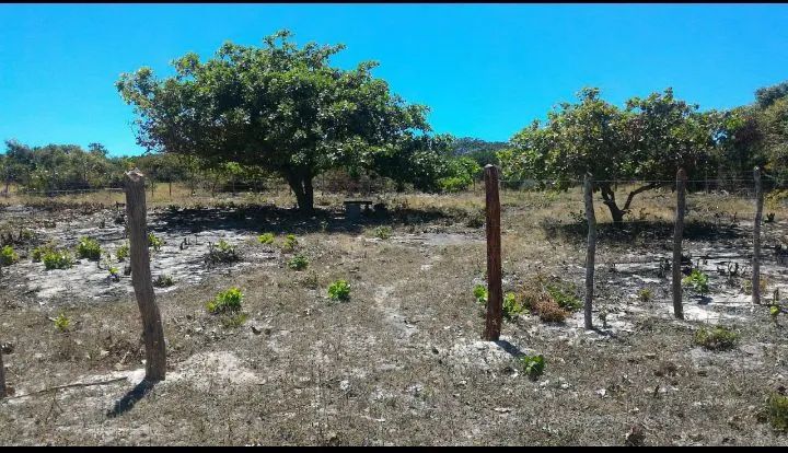 2 LOTES 50x30 (PARCELO) - Foto 2