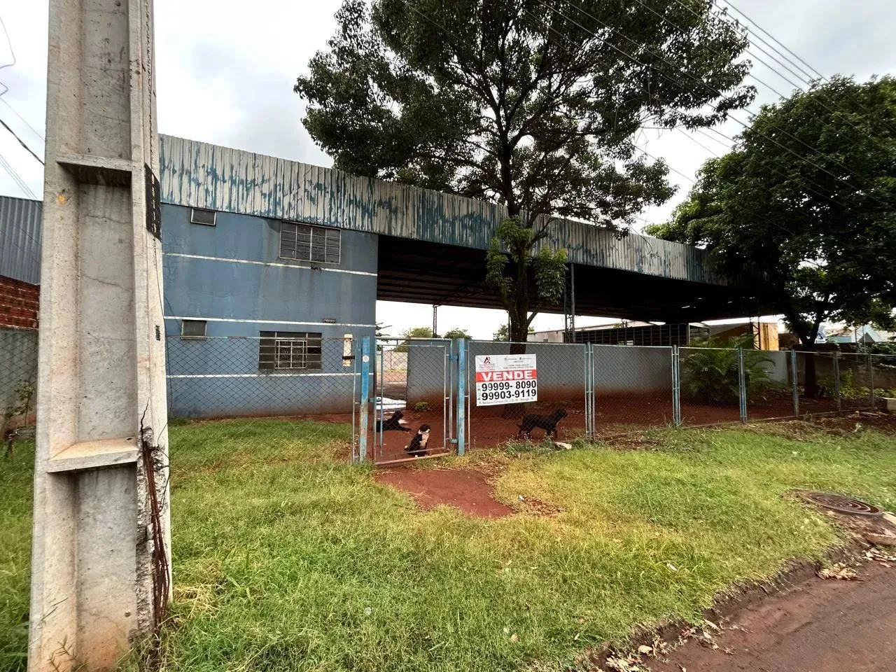 TERRENO INDUSTRIAL