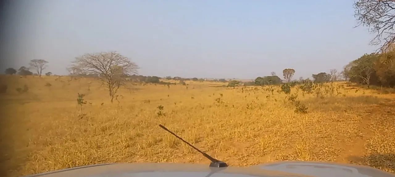 Fazenda pra lavoura com 100% aproveitamentos  - Foto 2