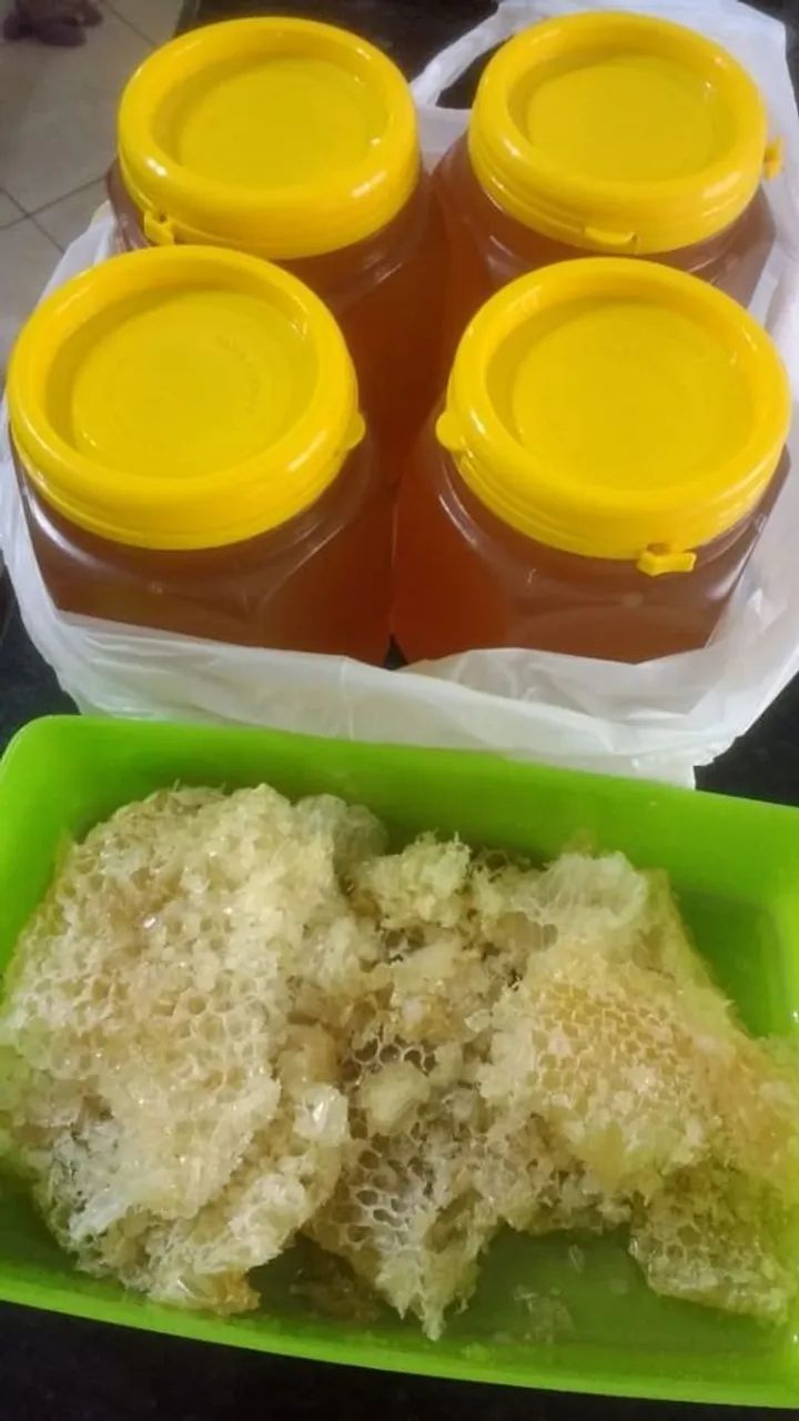 Potes de mel abelha Europa vendo (favor ler anúncio) - Foto 2